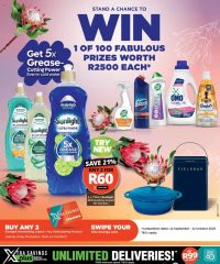 Checkers Northern Cape - Sunlight Promotion September 22 - October 5, 2025
